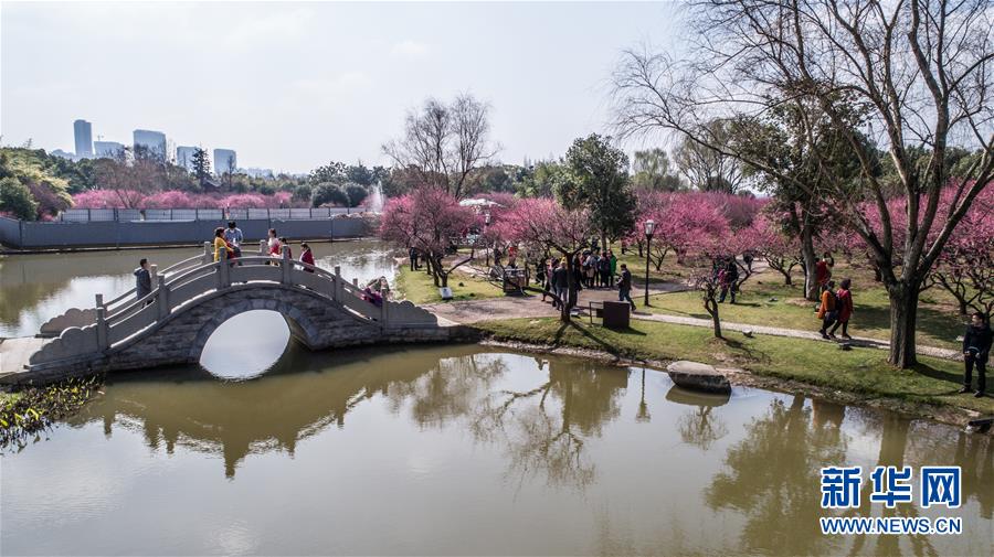 （環(huán)境）（1）梅花滿(mǎn)園引客來(lái)